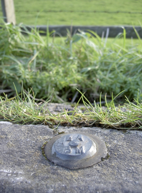 Environment Agency on Roadside kerb
